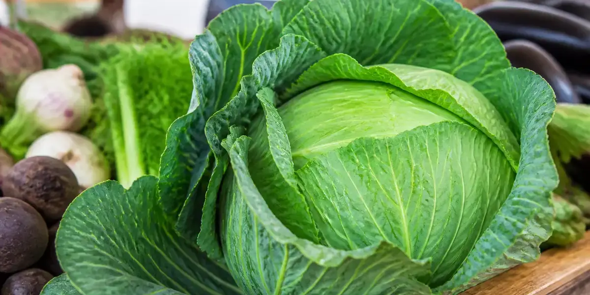 Chou vert frais exposé sur un marché local recommandé par Maviehealthy.com
