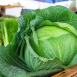 Chou vert frais exposé sur un marché local recommandé par Maviehealthy.com